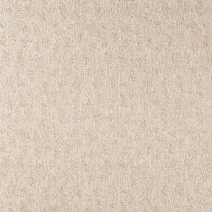 Thatched Rattan by Lee Jofa Fabric