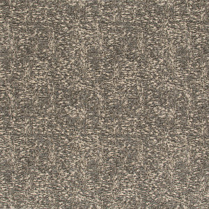 Stigmata Shadow by Lee Jofa Fabric