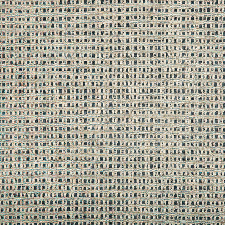 Stissing Ink by Lee Jofa Fabric CARRIER AND COMPANY VISCOSE - 45%;COTTON - 29%;LINEN - 14%;POLYESTER - 12% Italy HEAVY Horizontal: 14 and Vertical: 5 55 - Fabric Carolina -