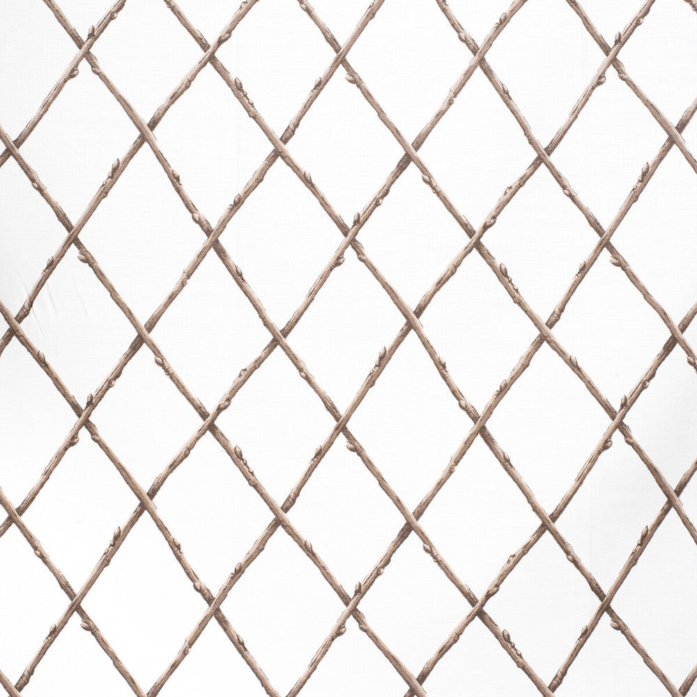 Bare Twig Trellis Bro/Whi by Lee Jofa Fabric PAOLO MOSCHINO FABRICS LINEN - 67%;COTTON - 33% United Kingdom HEAVY Horizontal: 22.05 and Vertical: 15.35 53.94 - Fabric Carolina -