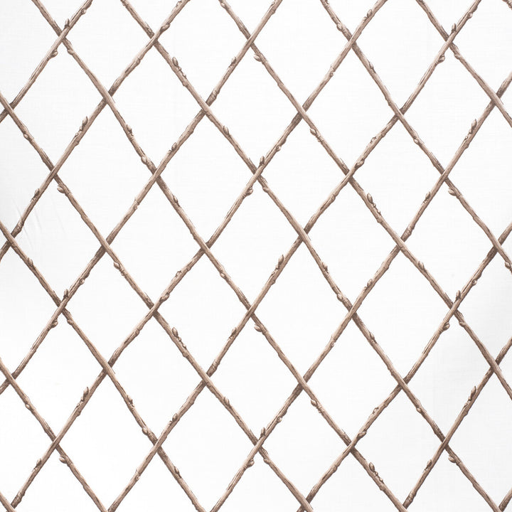 Bare Twig Trellis Bro/Whi by Lee Jofa Fabric PAOLO MOSCHINO FABRICS LINEN - 67%;COTTON - 33% United Kingdom HEAVY Horizontal: 22.05 and Vertical: 15.35 53.94 - Fabric Carolina -