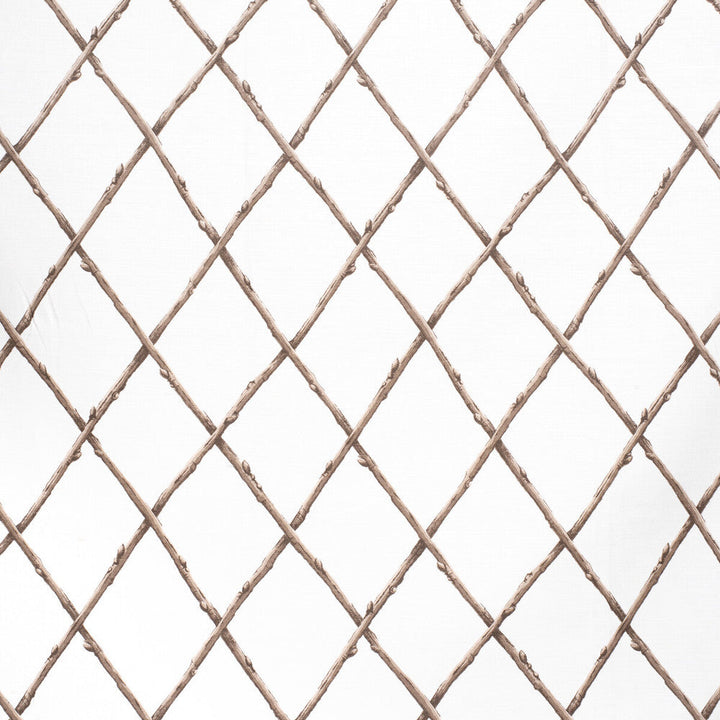 Bare Twig Trellis Bro/Whi by Lee Jofa Designer Fabric PAOLO MOSCHINO FABRICS LINEN - 67%;COTTON - 33% United Kingdom HEAVY Horizontal: 22.05 and Vertical: 15.35 53.94 - Swanky Fabrics -