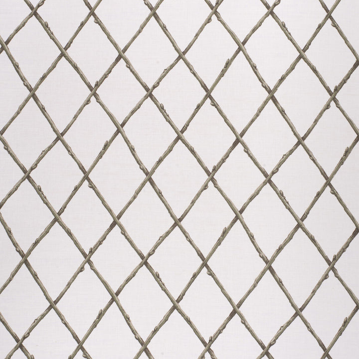 Bare Twig Trellis Green by Lee Jofa Fabric PAOLO MOSCHINO FABRICS LINEN - 67%;COTTON - 33% United Kingdom HEAVY Horizontal: 22.05 and Vertical: 15.35 53.94 - Fabric Carolina -
