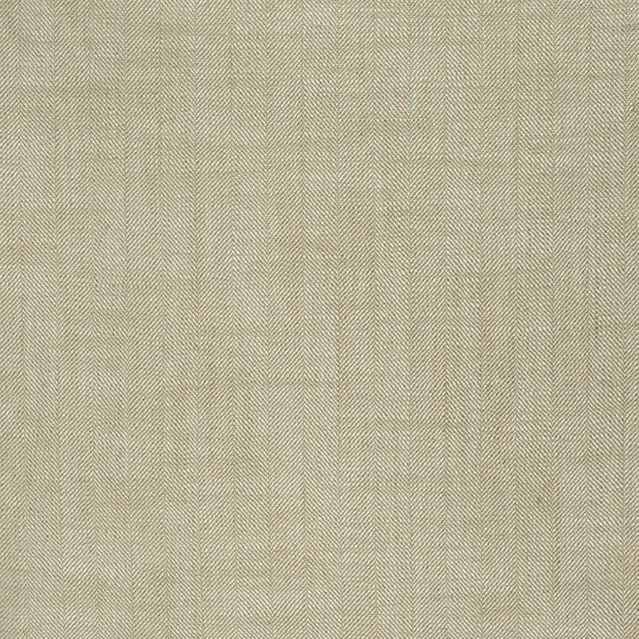 Elgin Zircon by Lee Jofa Fabric Lee Jofa Fabric Elgin ZirconFabric PAOLO MOSCHINO FABRICS VISCOSE - 64%;LINEN - 30%;COTTON - 6% United Kingdom </p><p>Repeat: H: 0, V: 0 55.12 - Fabric Carolina -