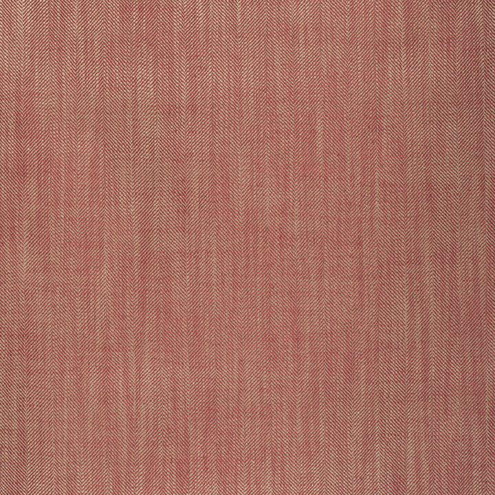 Elgin Ruby by Lee Jofa Fabric PAOLO MOSCHINO FABRICS VISCOSE - 64%;LINEN - 30%;COTTON - 6% United Kingdom HEAVY Horizontal: 0 and Vertical: 0 55.12 - Fabric Carolina -