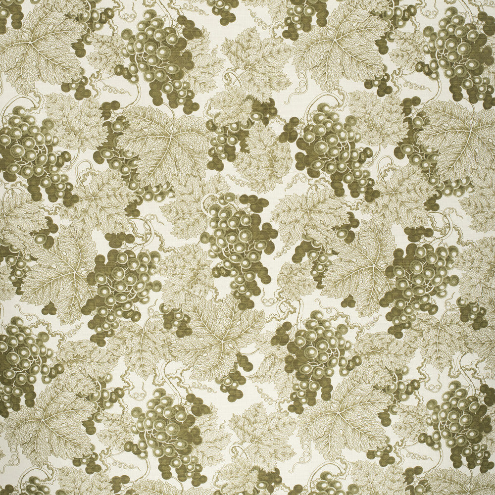 Farringdon Green by Lee Jofa Fabric PAOLO MOSCHINO FABRICS LINEN - 67%;COTTON - 33% United Kingdom HEAVY Horizontal: 23.82 and Vertical: 31.89 48.03 - Fabric Carolina -