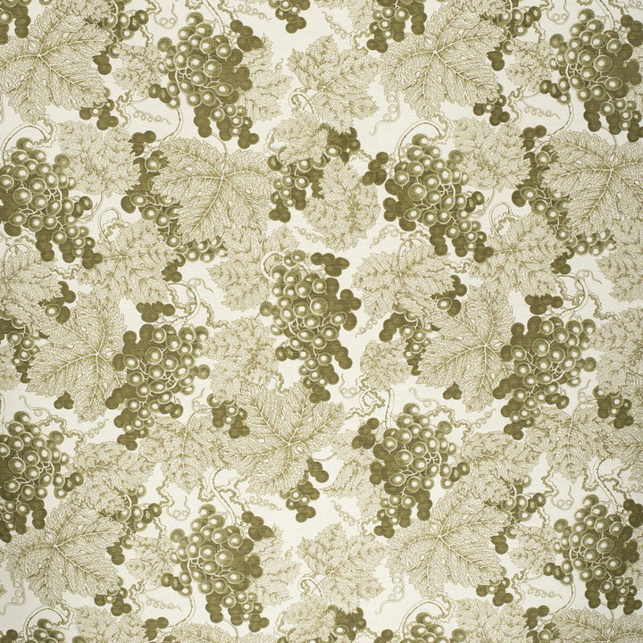 Farringdon Green by Lee Jofa Fabric PAOLO MOSCHINO FABRICS LINEN - 67%;COTTON - 33% United Kingdom HEAVY Horizontal: 23.82 and Vertical: 31.89 48.03 - Fabric Carolina -