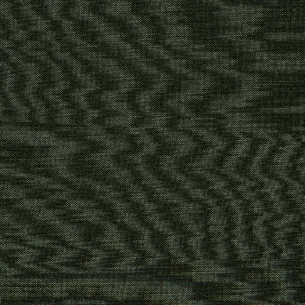 Namur Dark Green by Lee Jofa Fabric PAOLO MOSCHINO FABRICS LINEN - 91%;POLYAMIDE - 9% Belgium HEAVY Horizontal: 0 and Vertical: 0 55.12 - Fabric Carolina -