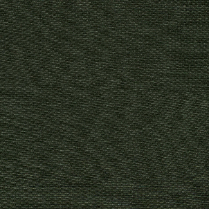 Namur Dark Green by Lee Jofa Fabric PAOLO MOSCHINO FABRICS LINEN - 91%;POLYAMIDE - 9% Belgium HEAVY Horizontal: 0 and Vertical: 0 55.12 - Fabric Carolina -