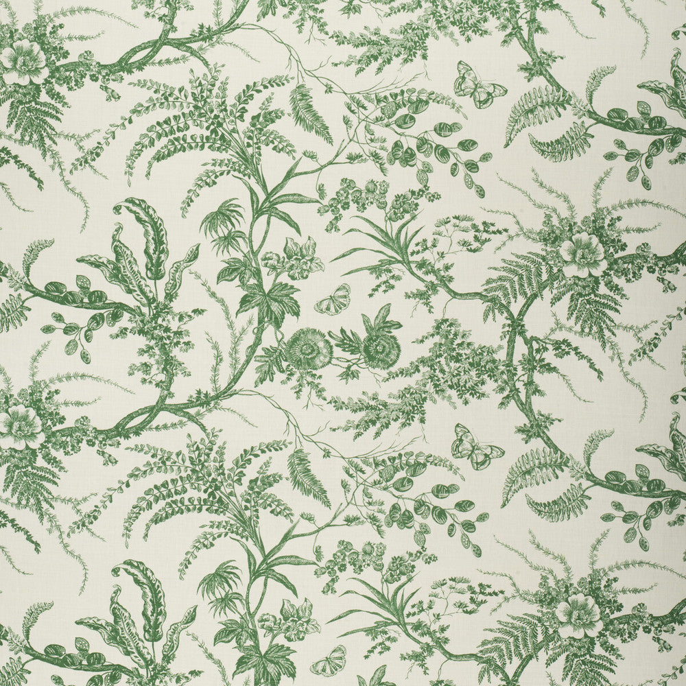Paradiso Paolos Green by Lee Jofa Fabric PAOLO MOSCHINO FABRICS LINEN - 67%;COTTON - 33% United Kingdom HEAVY Horizontal: 0 and Vertical: 18.11 53.94 - Fabric Carolina -