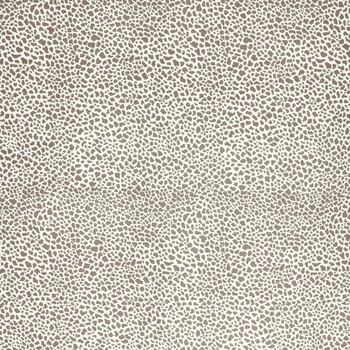 Safari Cotton Damson by Lee Jofa Fabric PAOLO MOSCHINO FABRICS COTTON - 100% United Kingdom MEDIUM Horizontal: 11.81 and Vertical: 15.75 56.3 - Fabric Carolina -