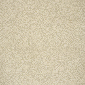Safari Cotton Light Taupe by Lee Jofa Fabric