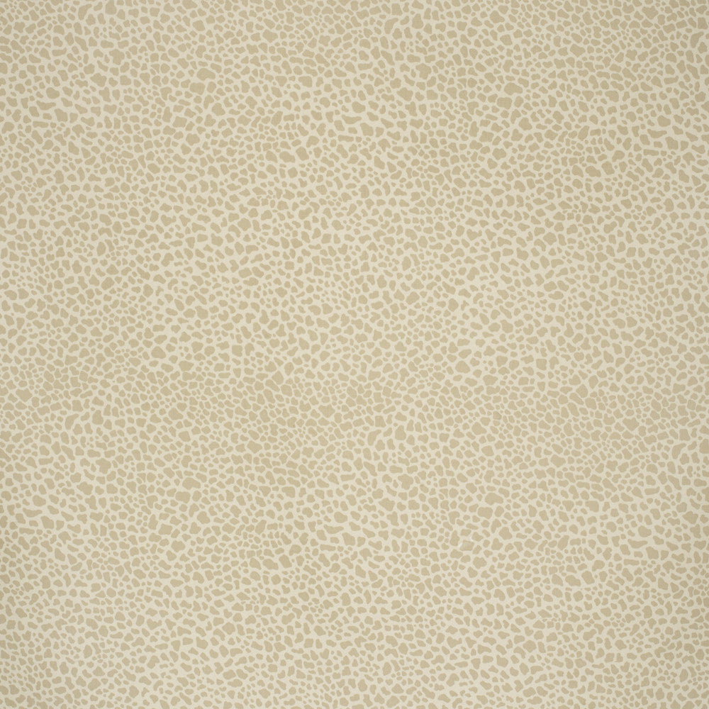 Safari Cotton Light Taupe by Lee Jofa Fabric PAOLO MOSCHINO FABRICS COTTON - 100% United Kingdom MEDIUM Horizontal: 11.81 and Vertical: 15.75 56.3 - Fabric Carolina -