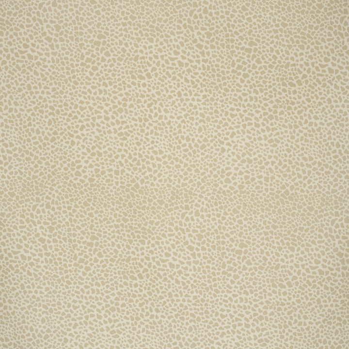 Safari Cotton Light Taupe by Lee Jofa Fabric PAOLO MOSCHINO FABRICS COTTON - 100% United Kingdom MEDIUM Horizontal: 11.81 and Vertical: 15.75 56.3 - Fabric Carolina -