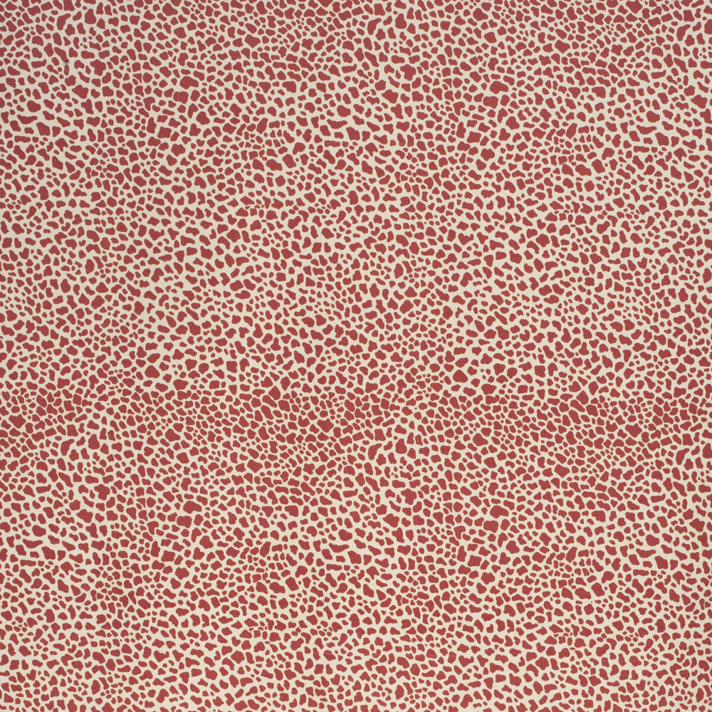 Safari Cotton Crimson by Lee Jofa Fabric PAOLO MOSCHINO FABRICS COTTON - 100% United Kingdom MEDIUM Horizontal: 11.81 and Vertical: 15.75 56.3 - Fabric Carolina -