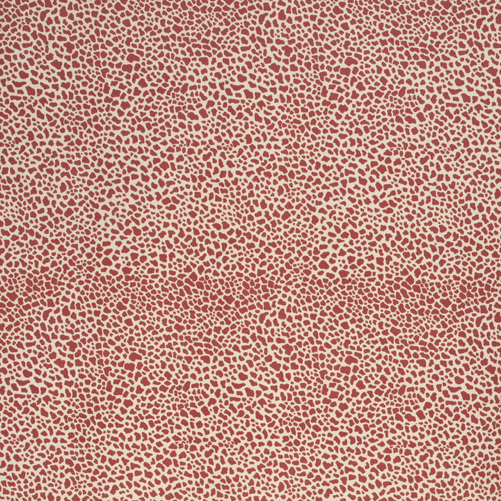 Safari Cotton Crimson by Lee Jofa Fabric PAOLO MOSCHINO FABRICS COTTON - 100% United Kingdom MEDIUM Horizontal: 11.81 and Vertical: 15.75 56.3 - Fabric Carolina -