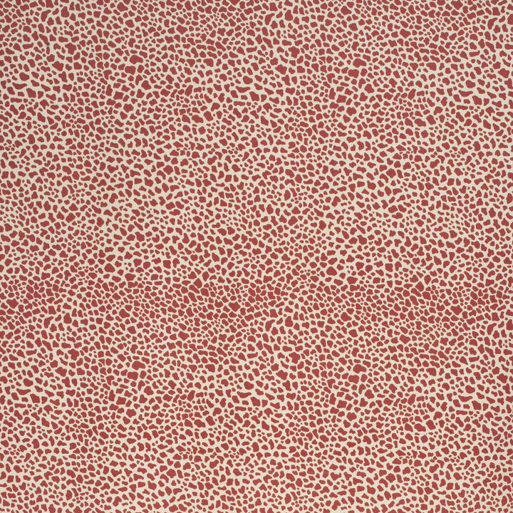 Safari Cotton Crimson by Lee Jofa Designer Fabric PAOLO MOSCHINO FABRICS COTTON - 100% United Kingdom MEDIUM Horizontal: 11.81 and Vertical: 15.75 56.3 - Swanky Fabrics -