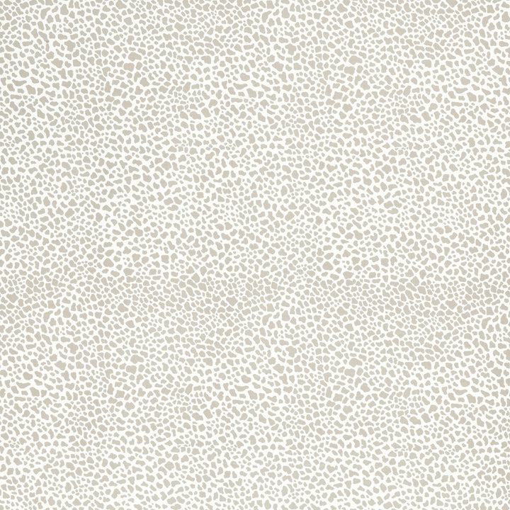 Safari Cotton Dark Taupe by Lee Jofa Fabric PAOLO MOSCHINO FABRICS COTTON - 100% United Kingdom MEDIUM Horizontal: 11.81 and Vertical: 15.75 56.3 - Fabric Carolina -