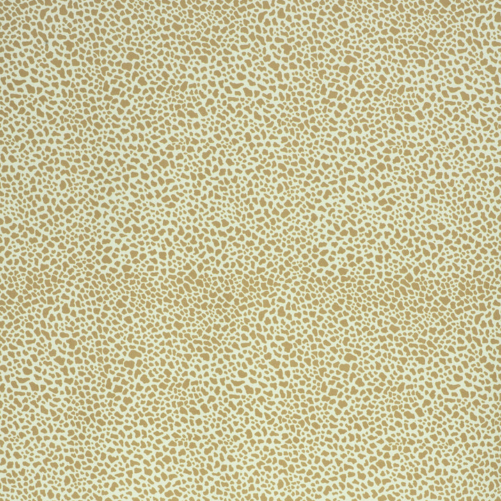 Safari Cotton Light Olive by Lee Jofa Fabric PAOLO MOSCHINO FABRICS COTTON - 100% United Kingdom MEDIUM Horizontal: 11.81 and Vertical: 15.75 56.3 - Fabric Carolina -