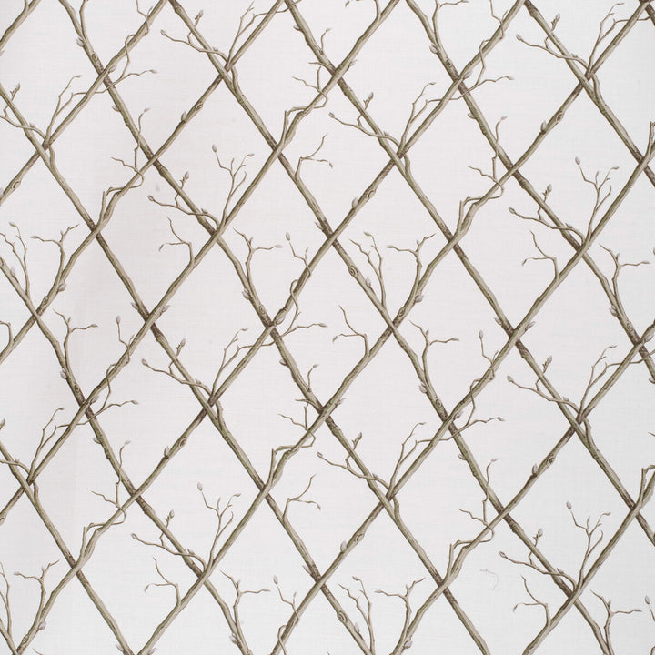 Twig Trellis Green/White by Lee Jofa Fabric PAOLO MOSCHINO FABRICS LINEN - 67%;COTTON - 33% United Kingdom HEAVY Horizontal: 18.5 and Vertical: 18.5 53.94 - Fabric Carolina -