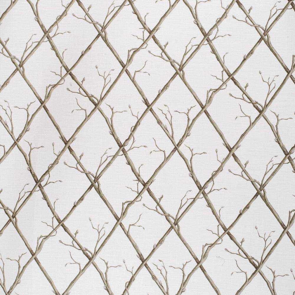 Twig Trellis Green/White by Lee Jofa Fabric PAOLO MOSCHINO FABRICS LINEN - 67%;COTTON - 33% United Kingdom HEAVY Horizontal: 18.5 and Vertical: 18.5 53.94 - Fabric Carolina -