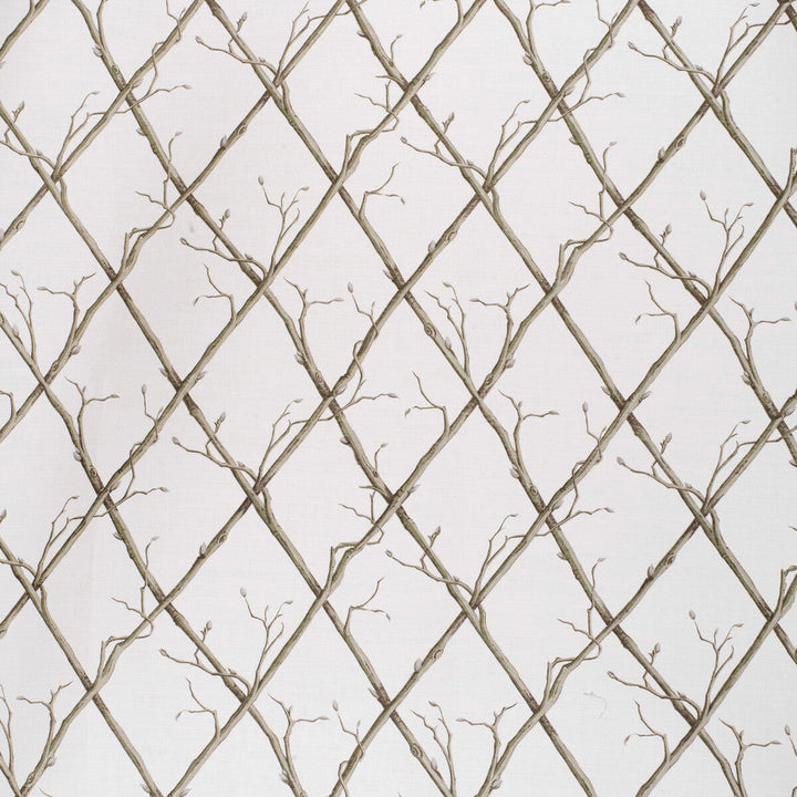 Twig Trellis Green/White by Lee Jofa Designer Fabric PAOLO MOSCHINO FABRICS LINEN - 67%;COTTON - 33% United Kingdom HEAVY Horizontal: 18.5 and Vertical: 18.5 53.94 - Swanky Fabrics -