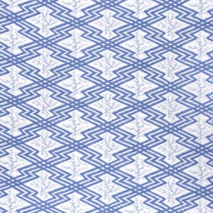 Via Krupp Blue/White by Lee Jofa Fabric