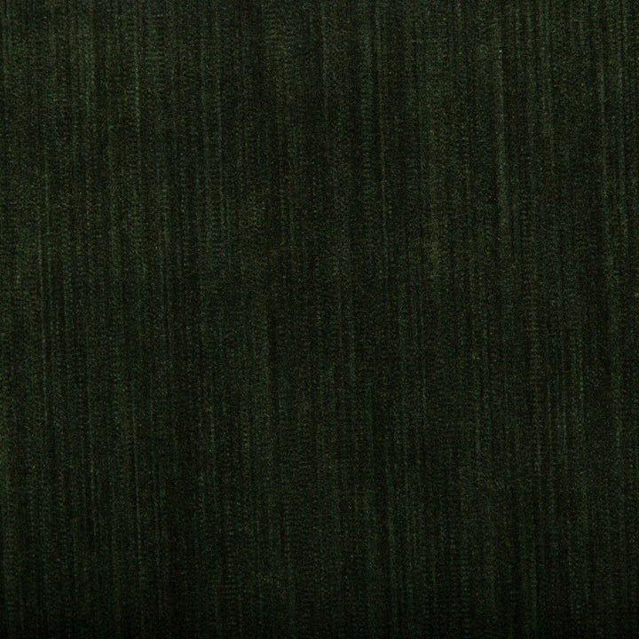 Barnwell Velvet Aloe by Lee Jofa Fabric BARNWELL VELVET COTTON - 64%;POLYESTER - 23%;VISCOSE - 13% Italy HEAVY Horizontal: 0 and Vertical: 0 55.12 - Fabric Carolina -