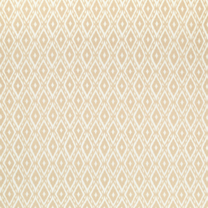 Bartow Print Sand by Lee Jofa Fabric AVONDALE LINEN - 70%;POLYESTER - 30% Italy Horizontal: 2.9 and Vertical: 5.9 55.91 - Fabric Carolina -