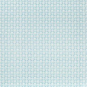 Sylvan Print Aqua by Lee Jofa Fabric