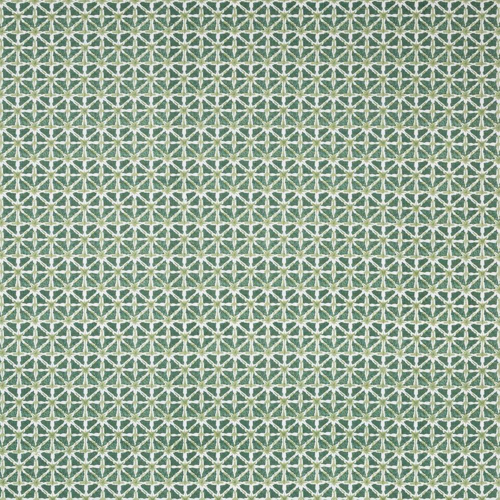 Sylvan Print Aloe by Lee Jofa Fabric AVONDALE LINEN - 100% India Horizontal: 2.24 and Vertical: 2.16 54.33 - Fabric Carolina -