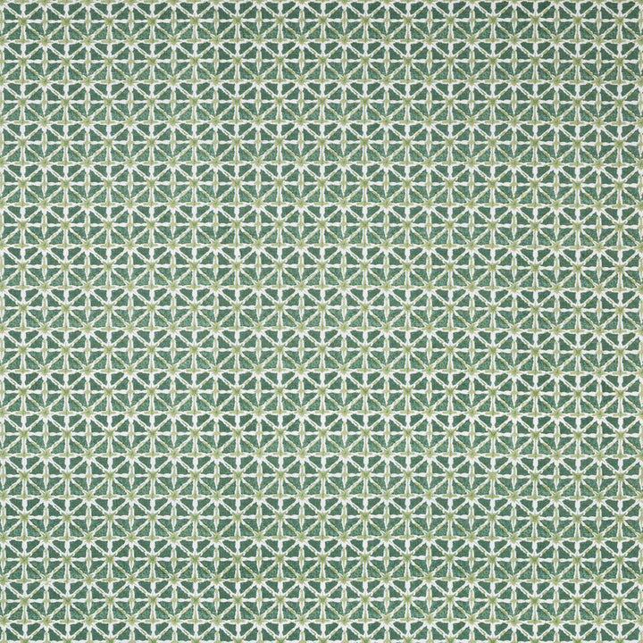Sylvan Print Aloe by Lee Jofa Fabric Lee Jofa Fabric Sylvan Print AloeFabric AVONDALE LINEN - 100% India </p><p>Repeat: H: 2.24, V: 2.16 54.33 - Fabric Carolina -