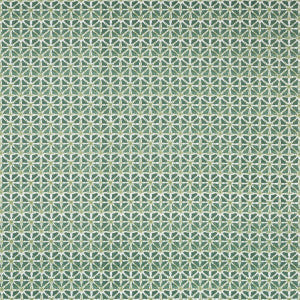 Sylvan Print Aloe by Lee Jofa Fabric
