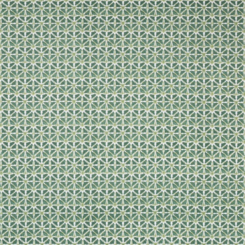 Sylvan Print Aloe by Lee Jofa Designer Fabric AVONDALE LINEN - 100% India Horizontal: 2.24 and Vertical: 2.16 54.33 - Swanky Fabrics -