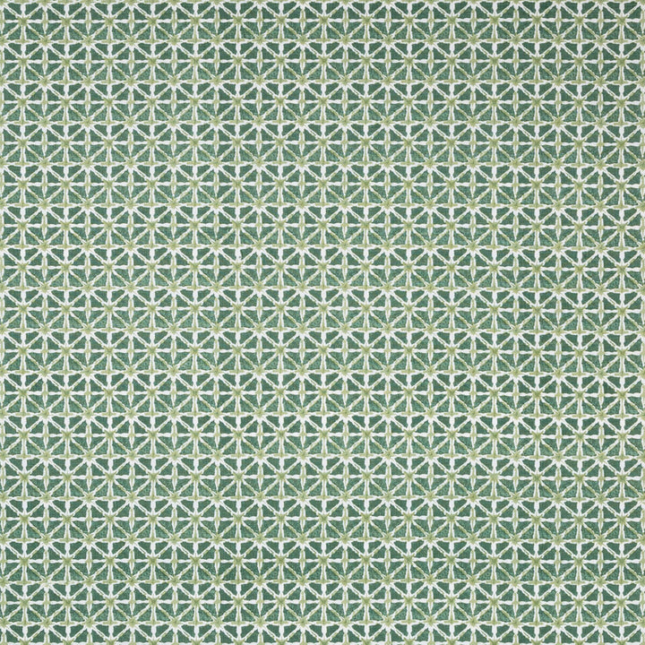 Sylvan Print Aloe by Lee Jofa Fabric AVONDALE LINEN - 100% India Horizontal: 2.24 and Vertical: 2.16 54.33 - Fabric Carolina -