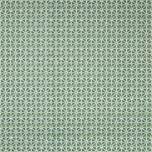 Sylvan Print Aloe by Lee Jofa Fabric