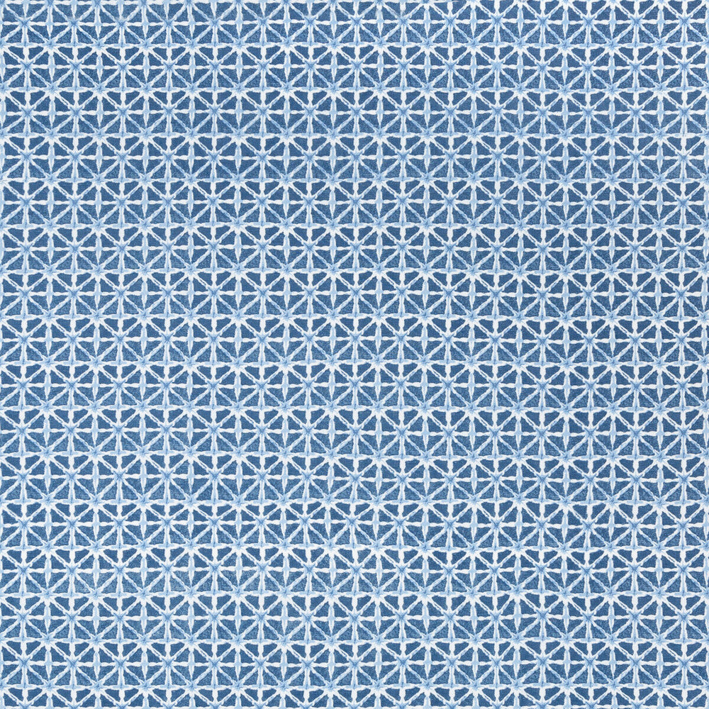 Sylvan Print Navy by Lee Jofa Fabric AVONDALE LINEN - 100% India Horizontal: 2.24 and Vertical: 2.16 54.33 - Fabric Carolina -