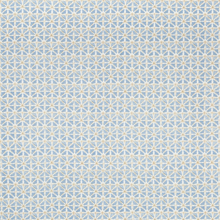 Sylvan Print Sky by Lee Jofa Fabric AVONDALE LINEN - 100% India Horizontal: 2.24 and Vertical: 2.16 54.33 - Fabric Carolina -