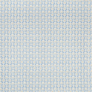 Sylvan Print Sky by Lee Jofa Fabric