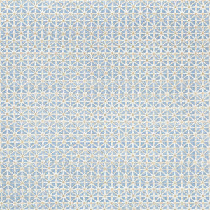 Sylvan Print Sky by Lee Jofa Fabric