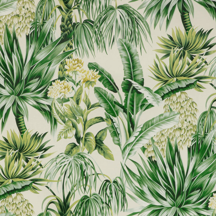 Caluya Print Palm by Lee Jofa Fabric MINDORO COTTON - 100% Italy HEAVY Horizontal: 55.12 and Vertical: 37.4 55.12 - Fabric Carolina -