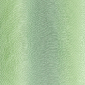 Horizonte Palm by Lee Jofa Fabric