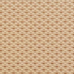 20210-01 by Charlotte Fabric