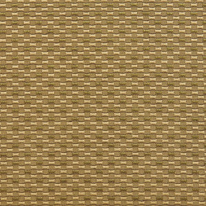 20210-02 by Charlotte Fabric