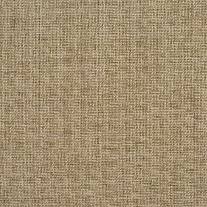 2021 Sand by Charlotte Fabric All Season Vol. 2 100% Woven Acrylic Made In USA Exceeds 50,000 Wyzenbeek Rubs (Heavy Duty) No Repeat 54 Inches - Fabric Carolina -