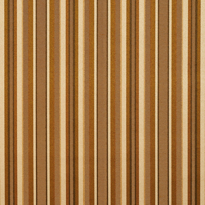20230-01 by Charlotte Fabric Galleria 66% Polyester, 44% Rayon Taiwan Exceeds 44,000 Wyzenbeek Rubs (Heavy Duty) Horizontal: 7" 54 Inches - Fabric Carolina -