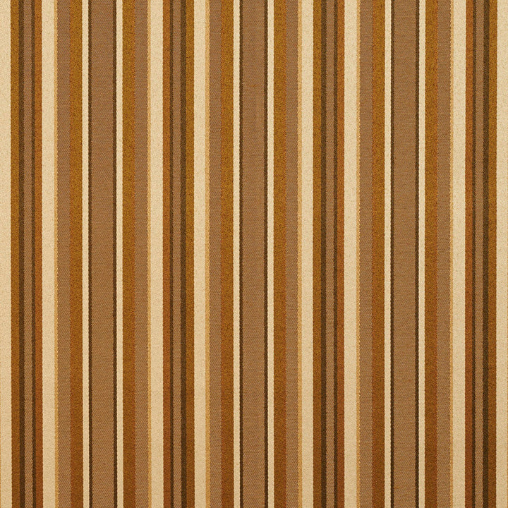 20230-01 by Charlotte Designer Fabric Galleria 66% Polyester, 44% Rayon Taiwan Exceeds 44,000 Wyzenbeek Rubs (Heavy Duty) Horizontal: 7" 54 Inches - Swanky Fabrics -
