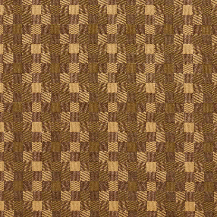 20240-01 by Charlotte Designer Fabric Galleria 57% Cotton, 43% Polyester Taiwan Exceeds 40,000 Wyzenbeek Rubs (Heavy Duty) Horizontal: 1.75" x Vertical: 1.75" 54 Inches - Swanky Fabrics -