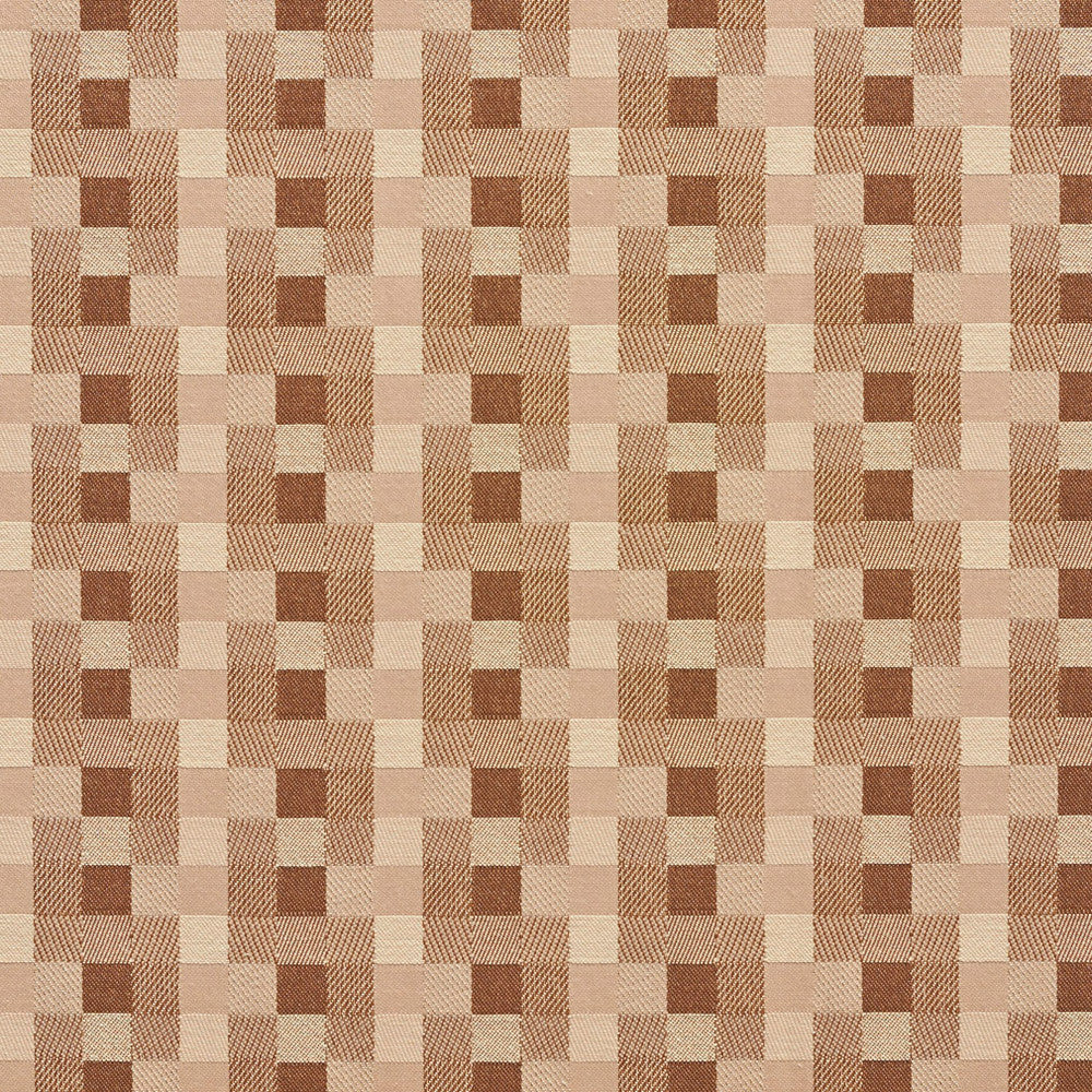 20240-02 by Charlotte Designer Fabric Galleria 57% Cotton, 43% Polyester Taiwan Exceeds 40,000 Wyzenbeek Rubs (Heavy Duty) Horizontal: 1.75" x Vertical: 1.75" 54 Inches - Swanky Fabrics -