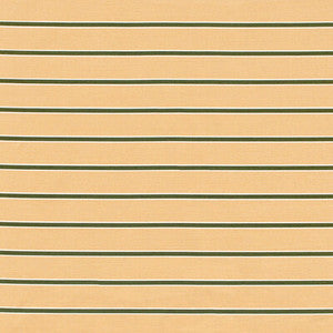 Horizon Stripe Dkgreenblush 2024105.73.0 by Lee Jofa Fabric